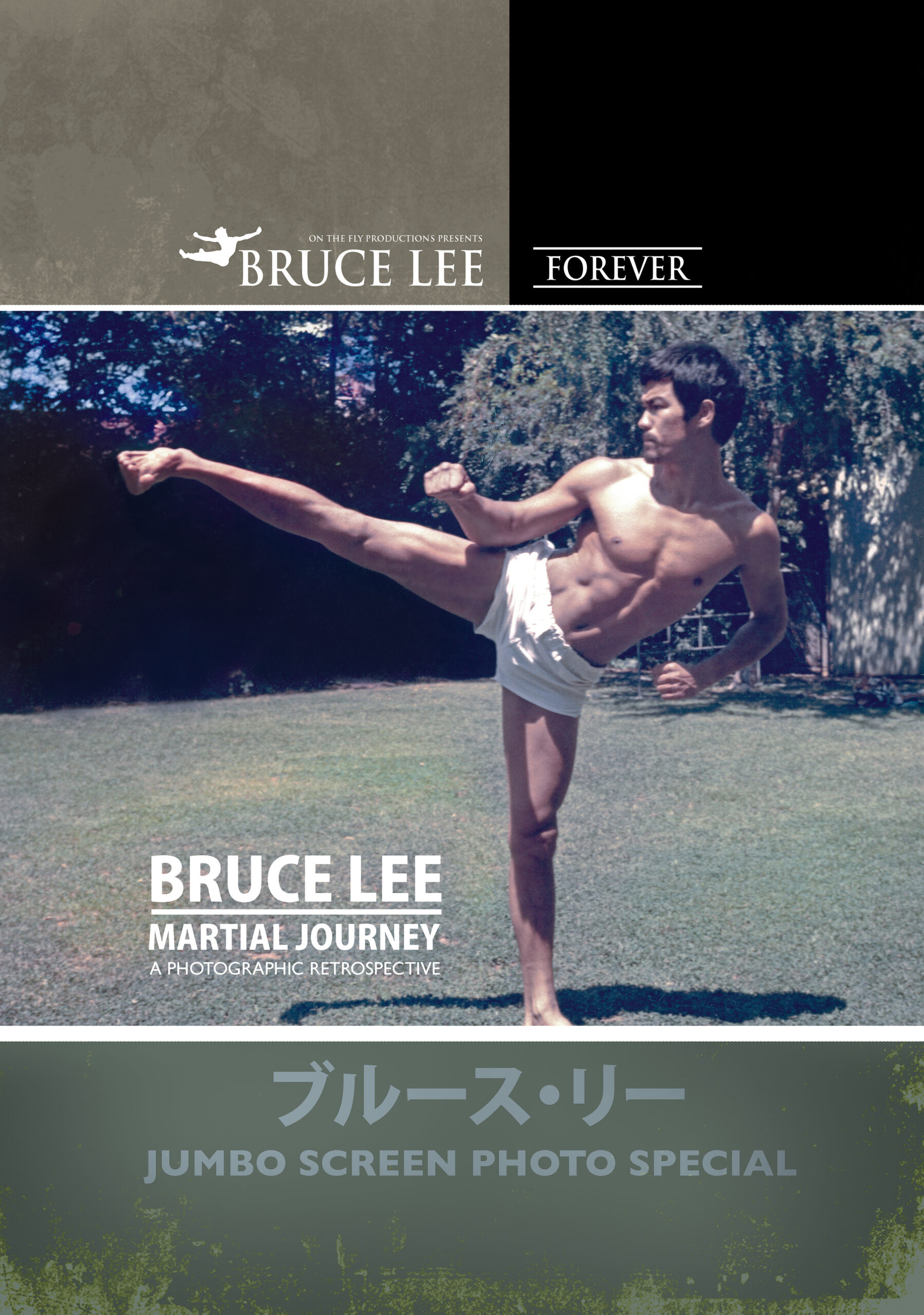 BRUCE LEE JUMBO SCREEN PHOTO SPECIAL: issue 2 - A Martial Journey